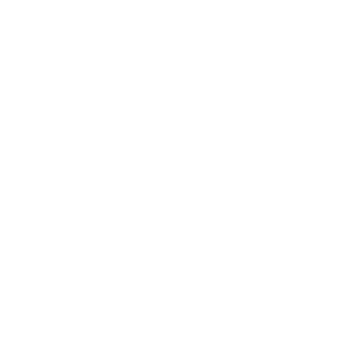 Abyss Outlaws logo